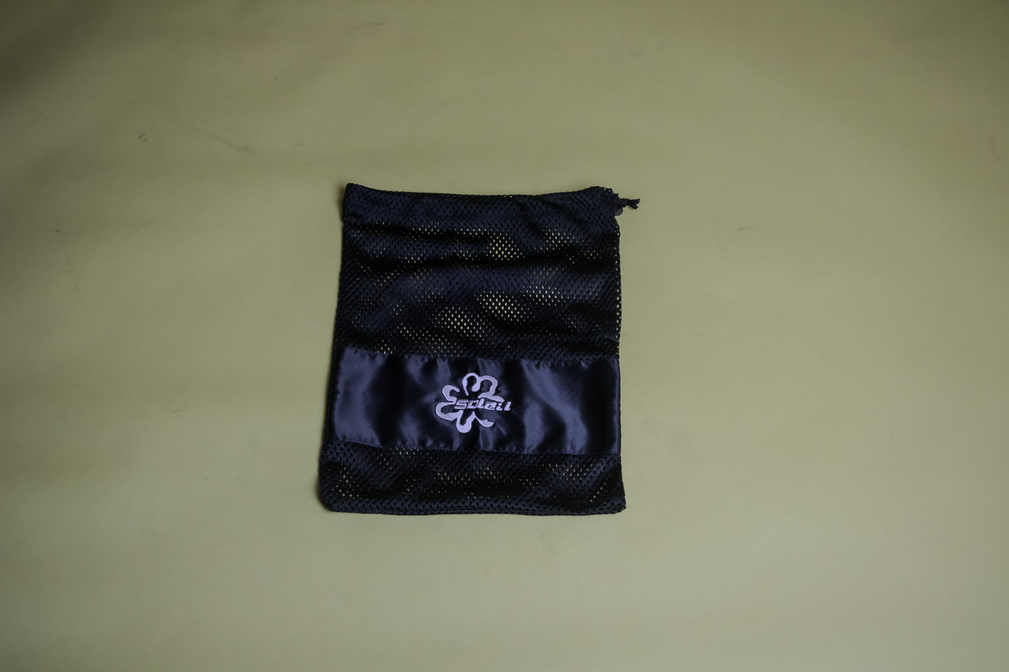 Mesh Shoe Bag