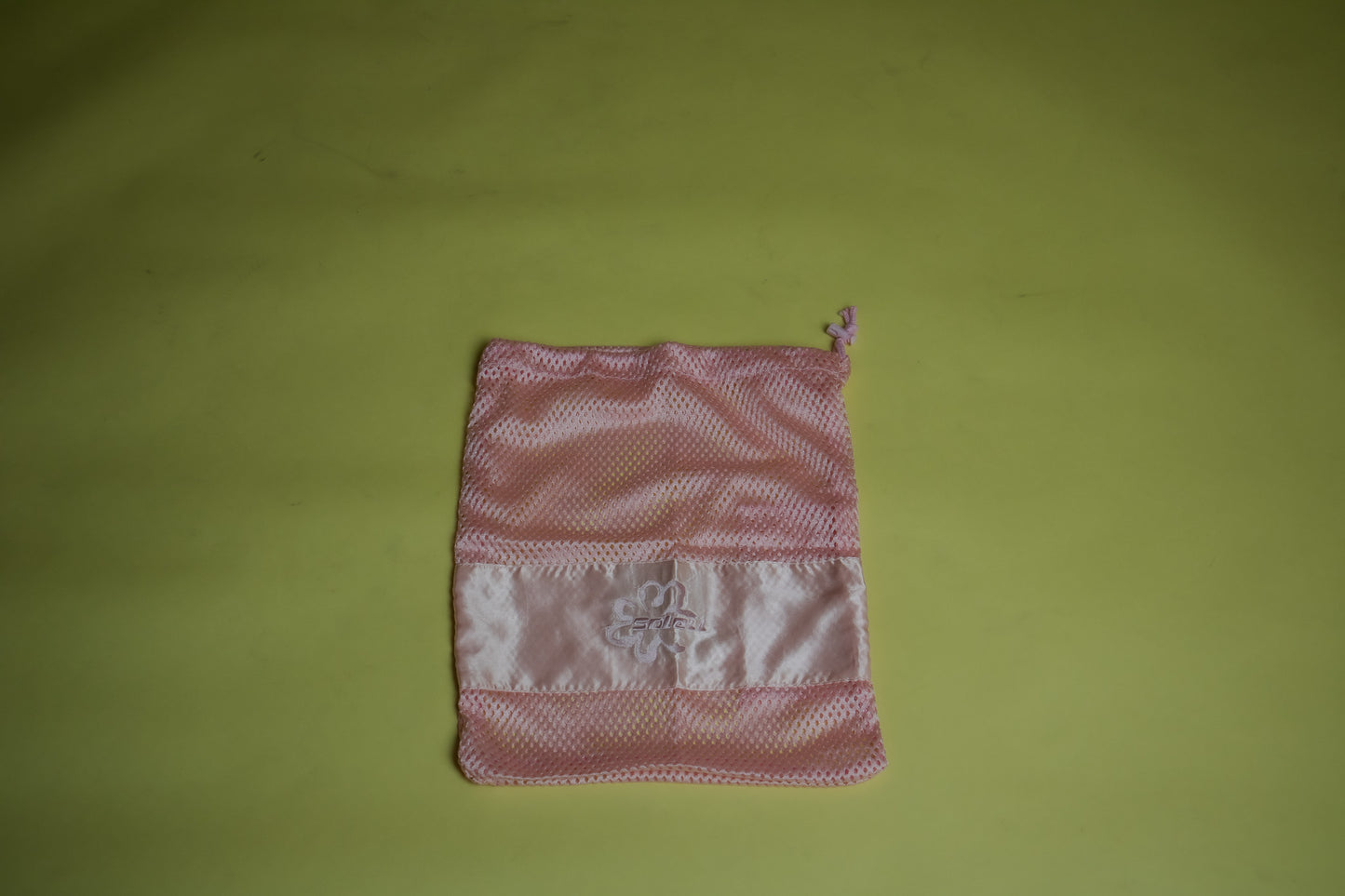 Mesh Shoe Bag
